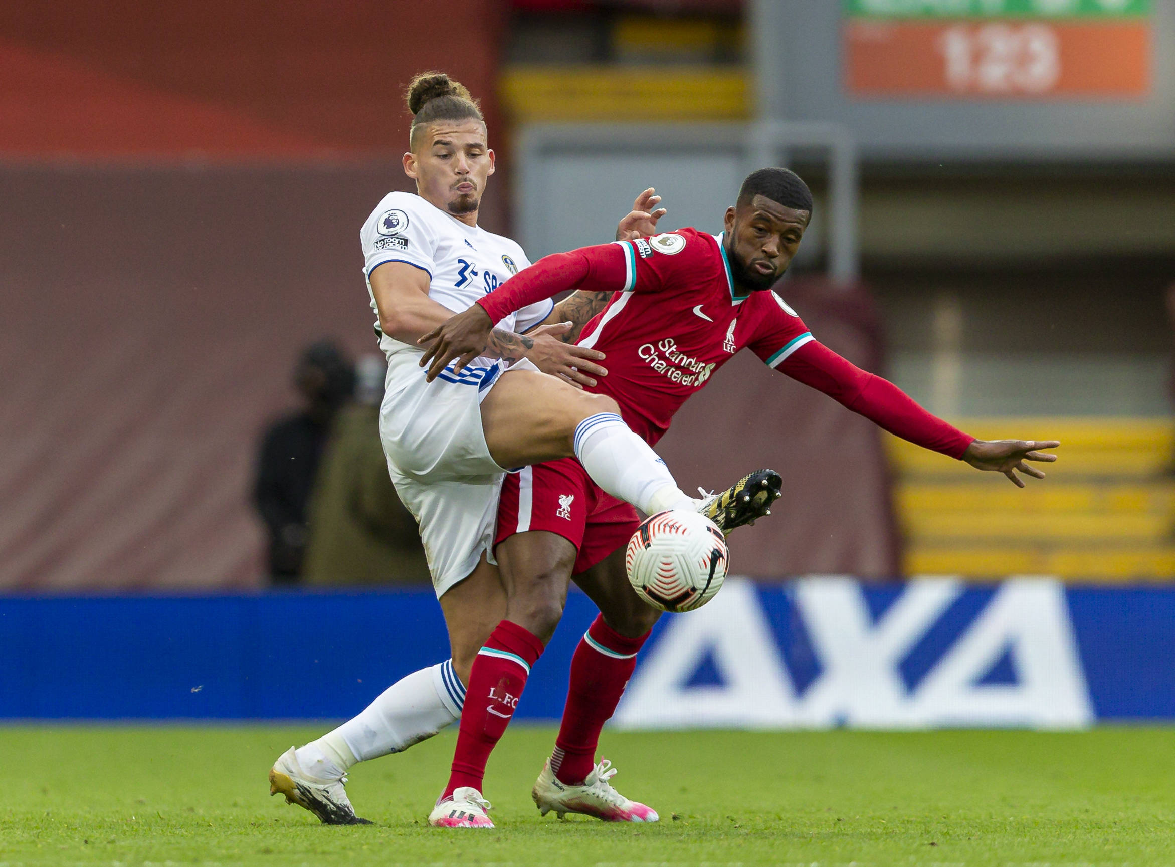 尔西的蓝色 尔西的蓝色